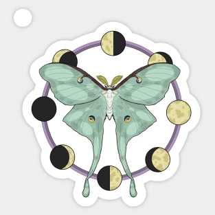 Actius Luna ▪︎ Saturniidae Sticker